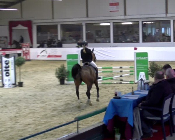 Reitturnier Borken 2025