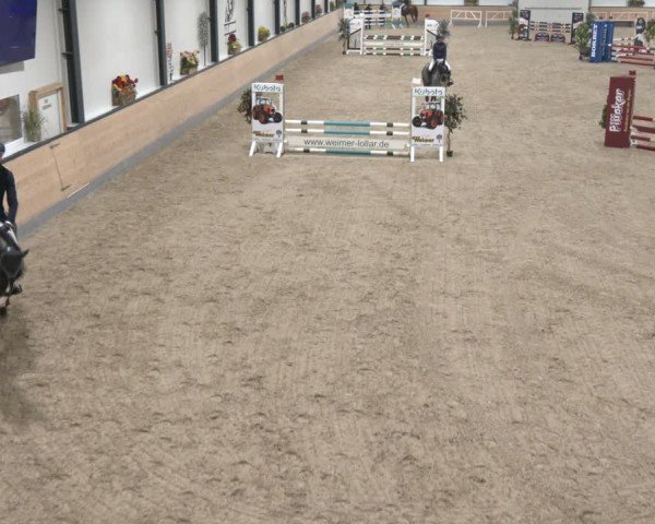 Reitturnier Borken (Hessen) 2025