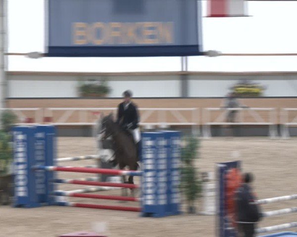 Reitturnier Borken (Hessen) 2025