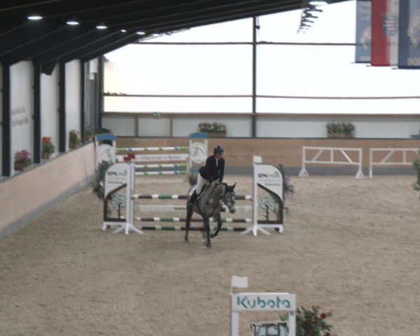Reitturnier Borken (Hessen) 2025
