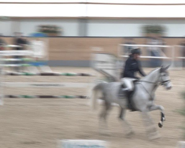 Reitturnier Borken (Hessen) 2025