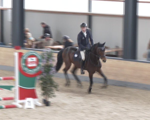 Reitturnier Borken (Hessen) 2025