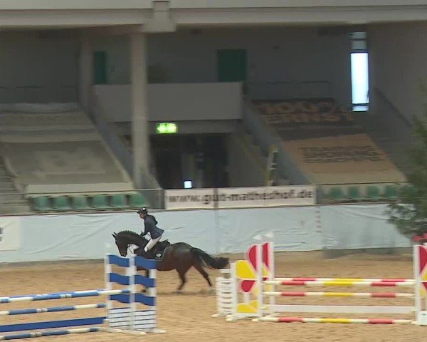 Reitturnier Kreuth/Opf. 2025