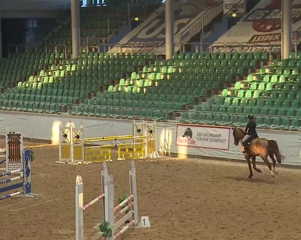 Reitturnier Kreuth/Opf. 2025