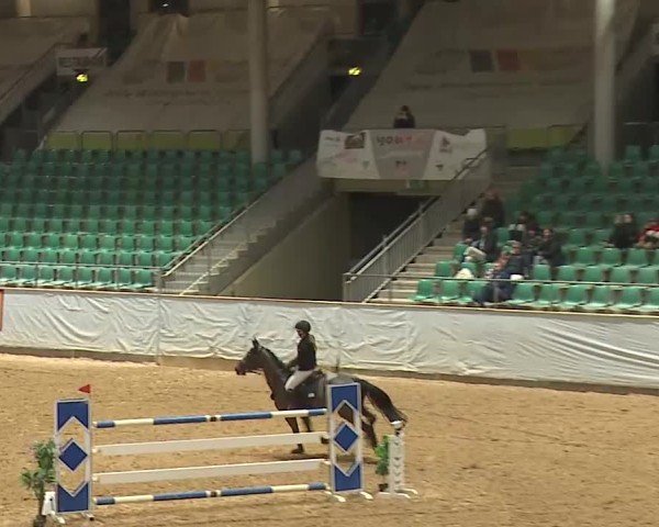 Reitturnier Kreuth/Opf. 2025