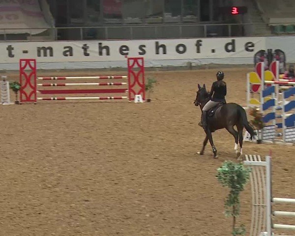 Reitturnier Kreuth/Opf. 2025
