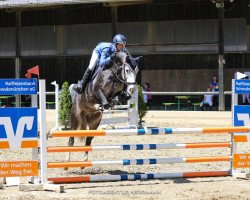 jumper Mr. Bubble Junior (Pony without race description, 2014, from Mr.bubble)