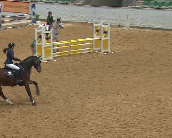 Reitturnier Kreuth/Opf. 2025