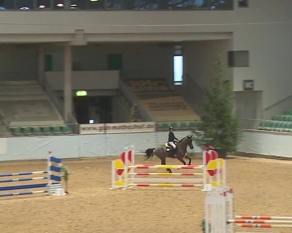 Reitturnier Kreuth/Opf. 2025