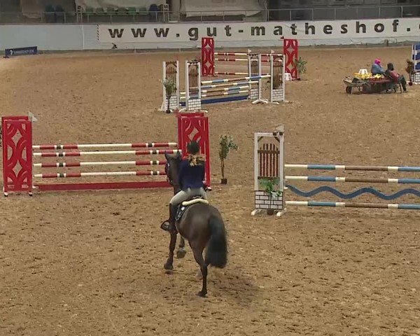 Reitturnier Kreuth/Opf. 2025