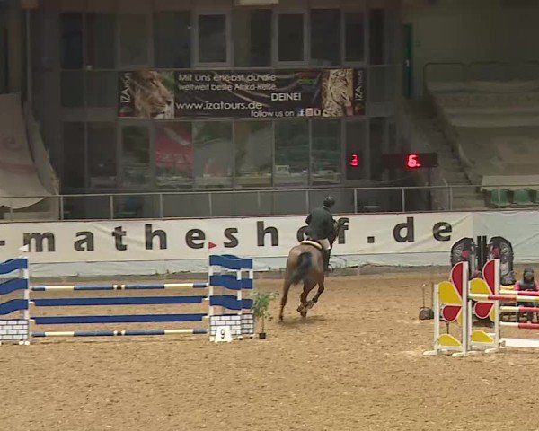Reitturnier Kreuth/Opf. 2025