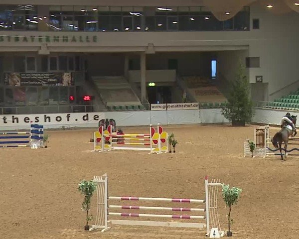 Reitturnier Kreuth/Opf. 2025