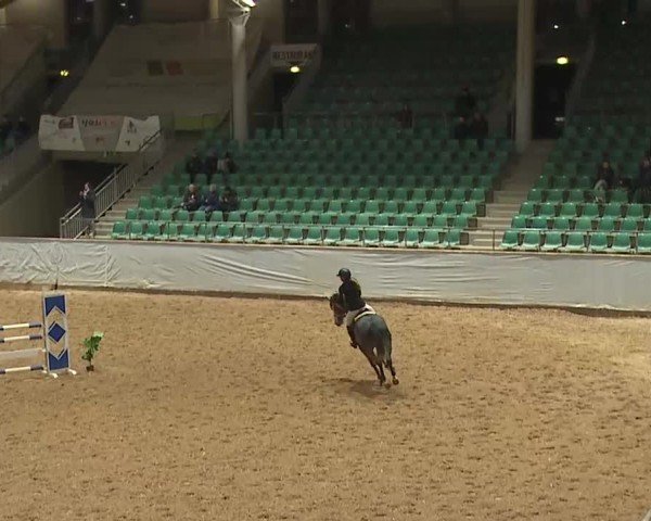 Reitturnier Kreuth/Opf. 2025