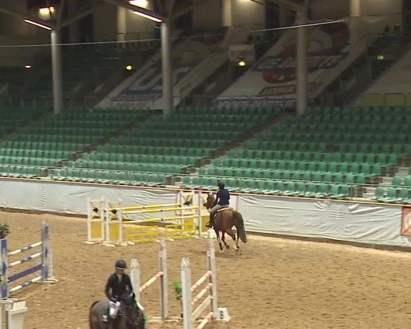 Reitturnier Kreuth/Opf. 2025