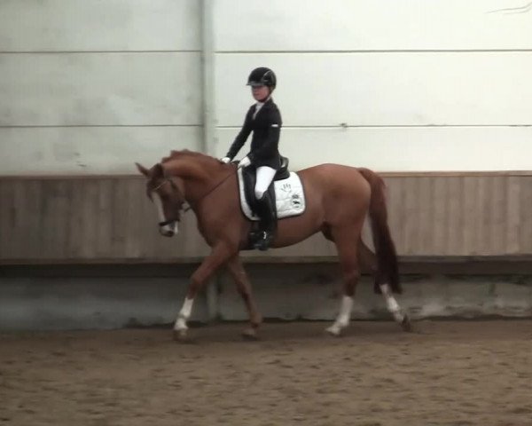 Herbstturnier RV Voerde e.V. 2013