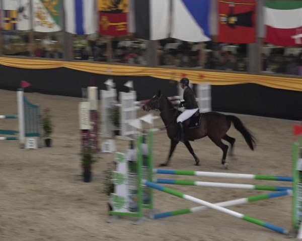 Reitturnier Erlen 2025