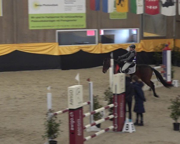 Reitturnier Erlen 2025