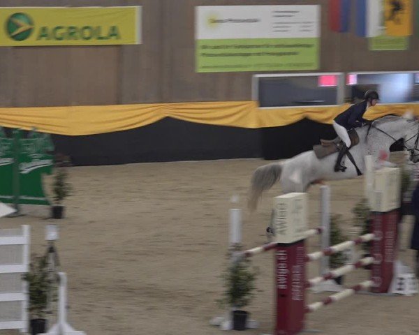 Reitturnier Erlen 2025