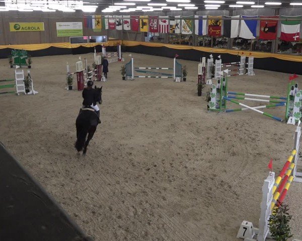 Reitturnier Erlen 2025