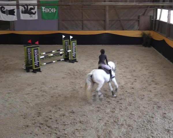 Reitturnier Erlen 2025
