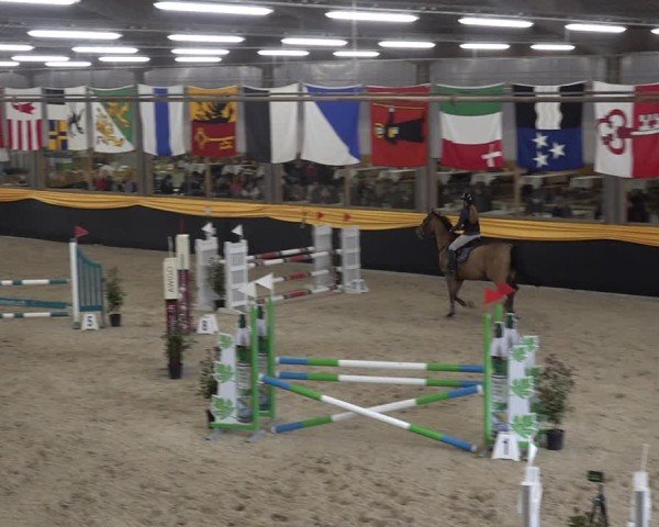 Reitturnier Erlen 2025
