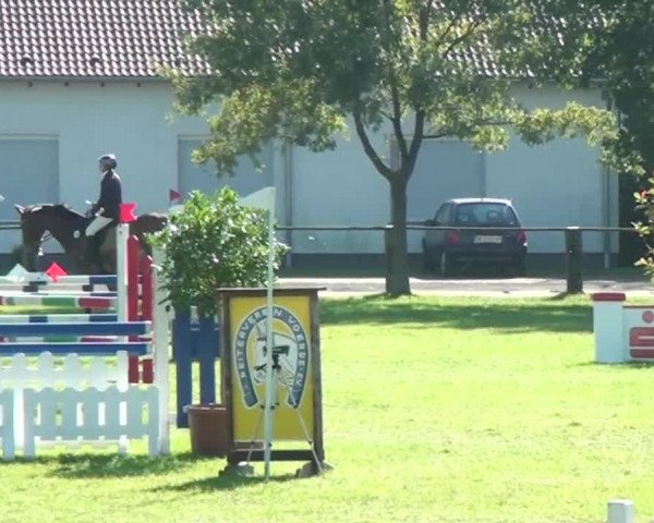 Herbstturnier RV Voerde e.V. 2013