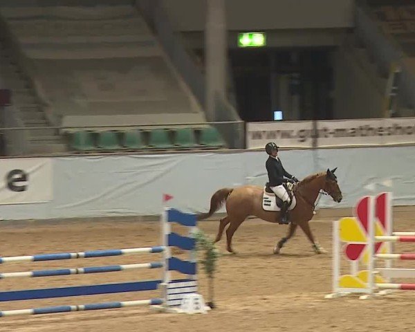 Reitturnier Kreuth/Opf. 2025