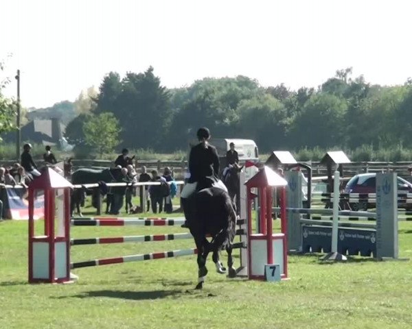 Herbstturnier RV Voerde e.V. 2013