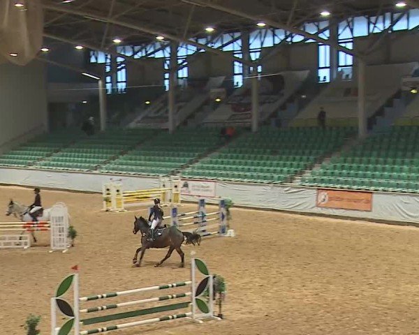 Reitturnier Kreuth/Opf. 2025