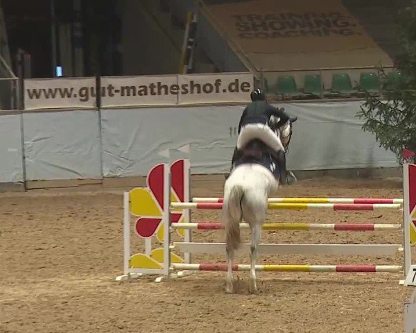 Reitturnier Kreuth/Opf. 2025