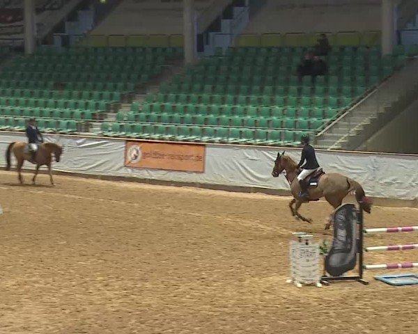 Reitturnier Kreuth/Opf. 2025