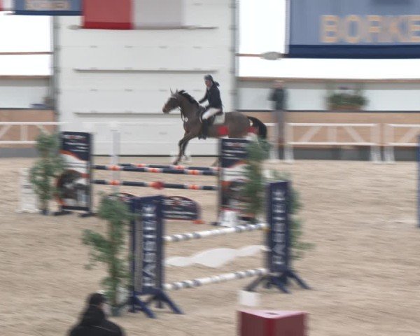 Reitturnier Borken (Hessen) 2025