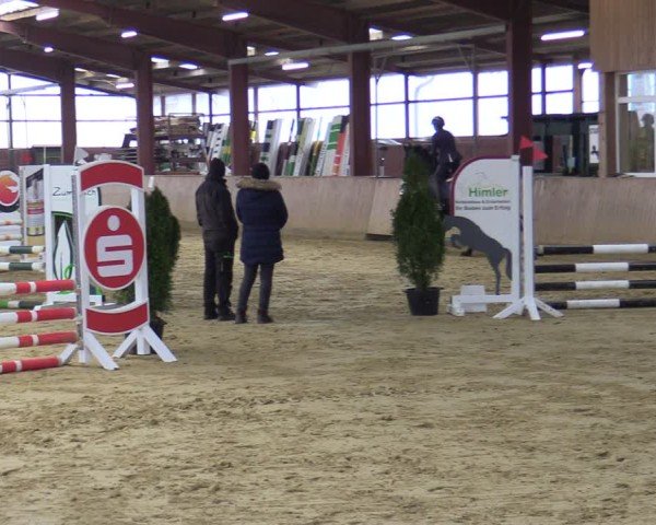Reitturnier Ostenfelde-Vornholz 2025