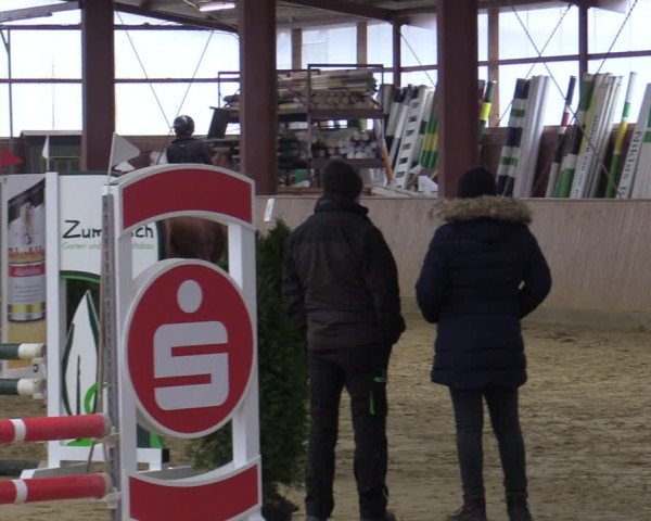Reitturnier Ostenfelde-Vornholz 2025