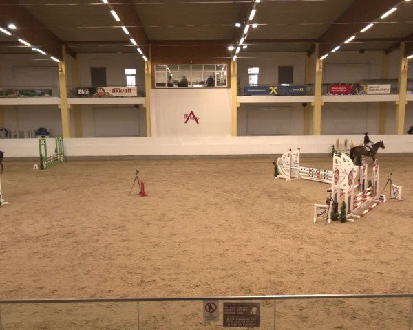 Reitturnier Stadl-Paura 2025