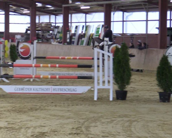 Reitturnier Ostenfelde-Vornholz 2025