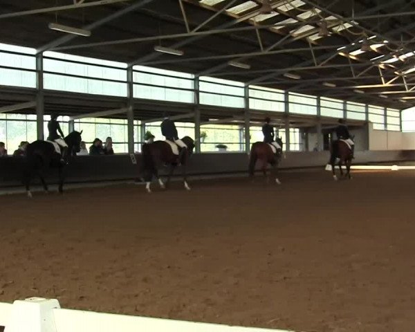 Herbstturnier RV Voerde e.V. 2013