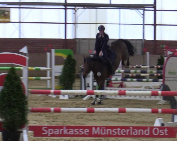 Reitturnier Ostenfelde-Vornholz 2025