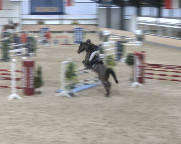 Reitturnier Borken (Hessen) 2025