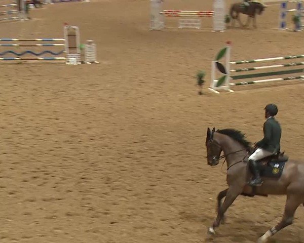 Reitturnier Kreuth/Opf. 2025
