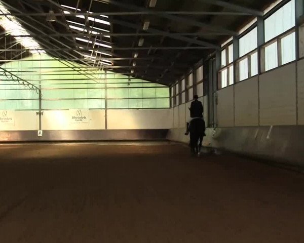 Herbstturnier RV Voerde e.V. 2013