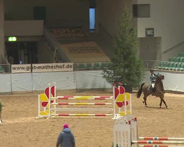 Reitturnier Kreuth/Opf. 2025