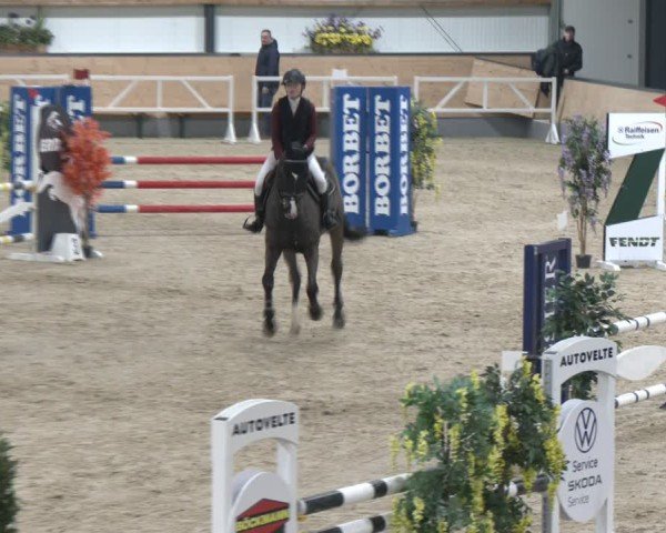 Reitturnier Borken (Hessen) 2025