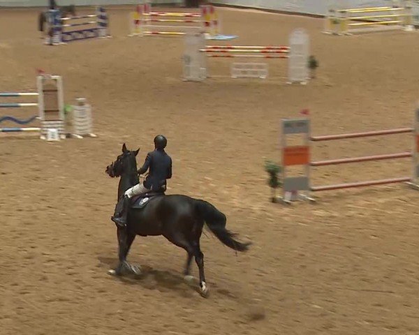 Reitturnier Kreuth/Opf. 2025