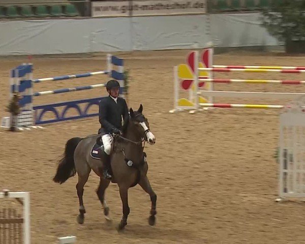 Reitturnier Kreuth/Opf. 2025