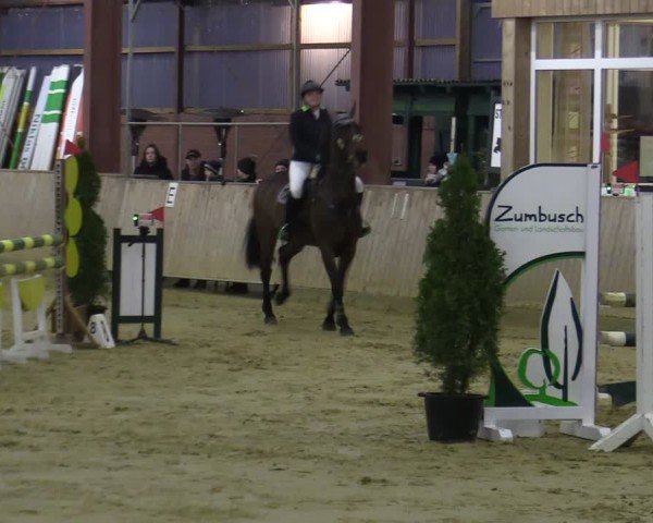 Reitturnier Ostenfelde-Vornholz 2025