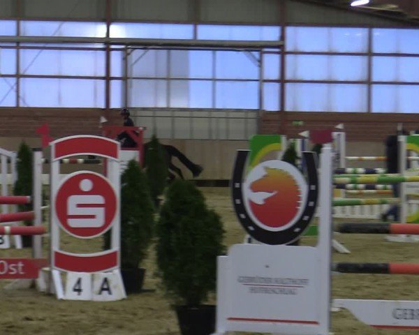 Reitturnier Ostenfelde-Vornholz 2025
