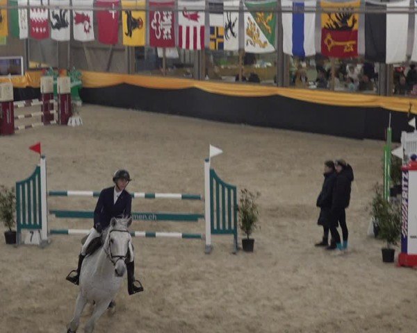 Reitturnier Erlen 2025