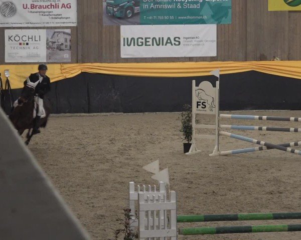 Reitturnier Erlen 2025