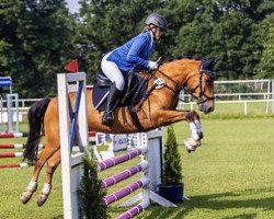 jumper Berkhoff's Billie (Pony without race description, 2015)